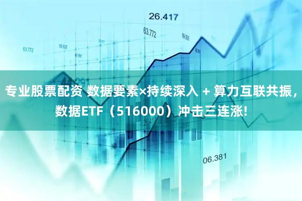 专业股票配资 数据要素×持续深入 + 算力互联共振，数据ETF（516000）冲击三连涨!