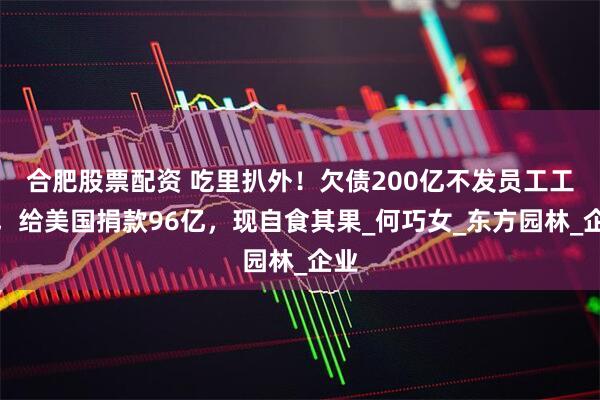 合肥股票配资 吃里扒外！欠债200亿不发员工工资，给美国捐款96亿，现自食其果_何巧女_东方园林_企业