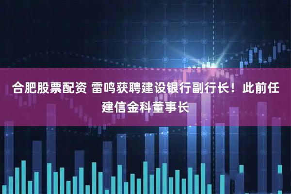 合肥股票配资 雷鸣获聘建设银行副行长！此前任建信金科董事长